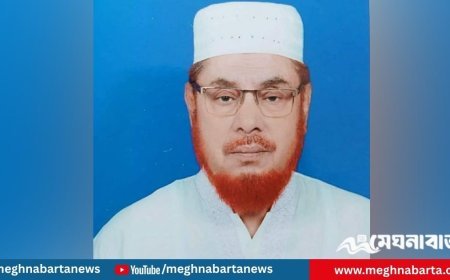 যশোরে চিকিৎসাধীন বিএনপি নেতার মৃত্যু