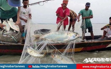 ইলিশ ধরায় ২২ দিনের নিষেধাজ্ঞা শুরু