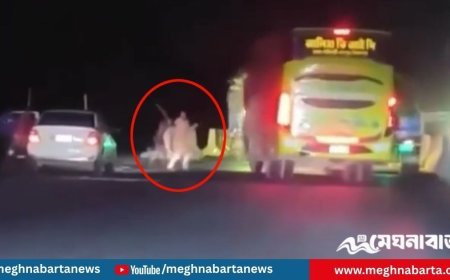 মহাসড়কে ডাকাতির ভাইরাল ভিডিও নিয়ে যা জানা গেল