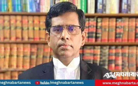 আওয়ামী লীগকে বিচারের মুখোমুখি করতে তদন্ত শুরু হচ্ছে: চিফ প্রসিকিউটর