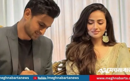 তাহলে কি তৃতীয় বারের মতো সংসার ভাঙছে শোয়েব মালিকের?