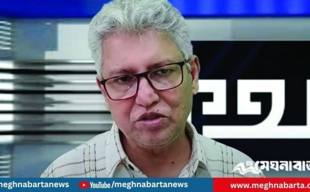 উপদেষ্টারা দায়িত্ব ছাড়ার আগে তাদের পাসপোর্ট জব্দ করা উচিত : মাসুদ কামাল