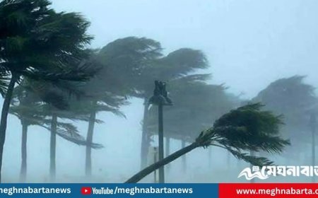 সন্ধ্যার মধ্যে ৭ জেলায় ঝড়-বৃষ্টির আভাস