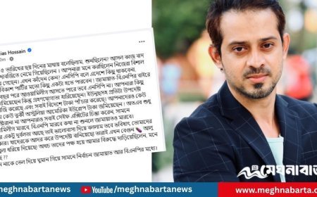 এনসিপি বলে এদেশে কিছু থাকবে না: সাংবাদিক ইলিয়াস