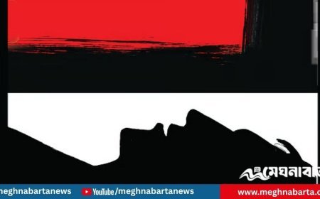 নেত্রকোনায় কথা-কাটাকাটির জেরে কৃষককে পিটিয়ে হত্যার অভিযোগ