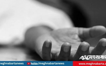 মুখ থেঁতলে বৃদ্ধাকে হত্যা, স্বর্ণালংকার খুলে নিয়েছে দুর্বৃত্তরা