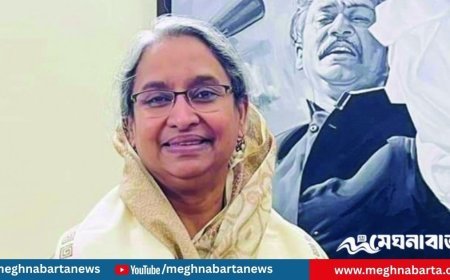 ‘মরিয়া’ প্রমাণ করা লাগবে আমরা অসুস্থ: আদালতে দীপু মনি