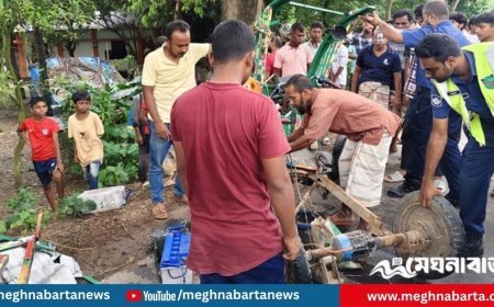 নাটোরে বাসের ধাক্কায় প্রাণ গেল অটোরিকশার ৩ যাত্রীর, আহত ২