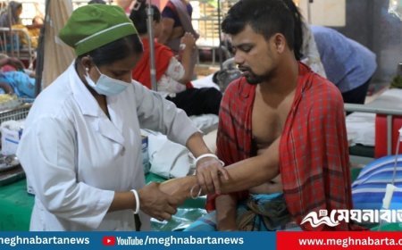 চলতি বছরে ৫০ হাজার ছাড়াল ডেঙ্গু রোগী