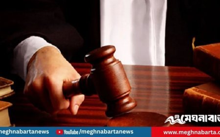 রোহিঙ্গা যুবকের যাবজ্জীবন