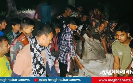 স্রোতের মধ্যে জীবন বাজি রেখে বাঁধ রক্ষা, মহাবিপর্যয় এড়াল বিজিবি