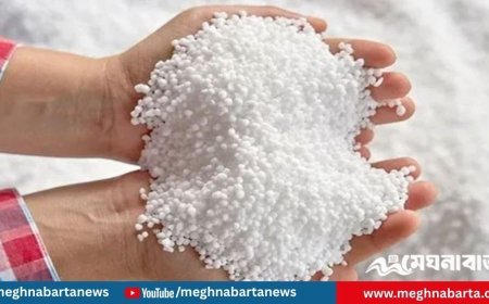 ১৮৪৭ কোটি টাকার সার কিনবে সরকার