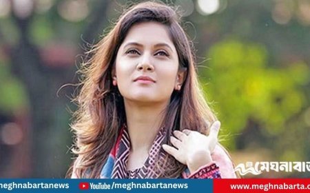 মিথিলার পাসপোর্টে স্বামী কে?