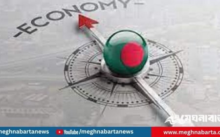 খেলাপি ঋণ বেড়ে ২৪.১%, ব্যাংক খাত চরম ঝুঁকিতে