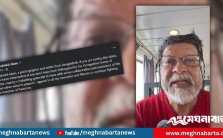 শহিদুল আলমকে অপহরণ করেছে ইসরাইলি দখলদার বাহিনী