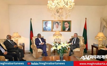 মির্জা ফখরুলের সঙ্গে ইইউ রাষ্ট্রদূতের বৈঠক