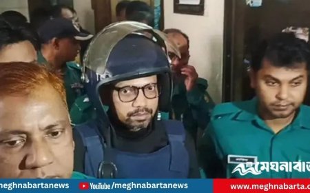 আগামী সংসদ নির্বাচনে লড়তে চান পলক