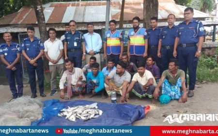 পদ্মায় ইলিশ ধরায় ৯ জে‌লে গ্রেপ্তার