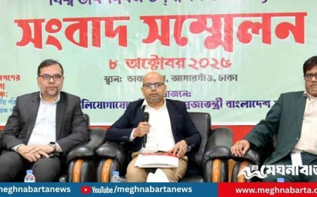 আগামী নির্বাচনে পোস্টাল ব্যালটে গোপনীয়তা অটুট থাকবে: ফয়েজ আহমদ