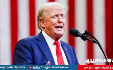 ইসরায়েল ও হামাস যুদ্ধবিরতি পরিকল্পনার প্রথম ধাপে সম্মত : ট্রাম্প