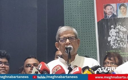 বিএনপির ধানের শীষ নিয়ে অযথা টানাটানি কেন, প্রশ্ন মির্জা ফখরুলের