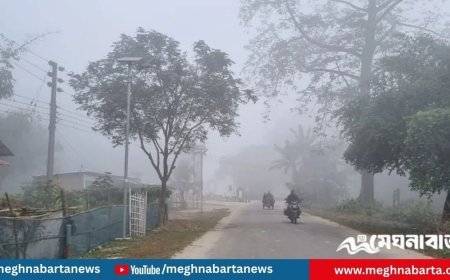 উত্তরে শীতের আমেজ, পঞ্চগড়ে ঘন কুয়াশা