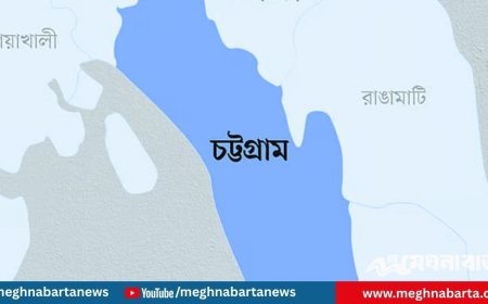 চট্টগ্রামে ছাত্রলীগ, যুবলীগের ১৭ কর্মী আটক