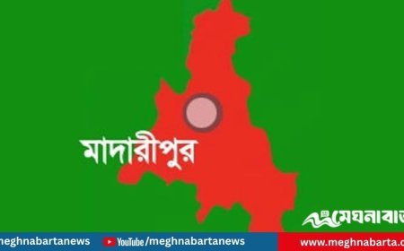 শিবচরে এক্সপ্রেসওয়েতে বাস-কাভার্ডভ্যান সংঘর্ষে নিহত ১, আহত ১০