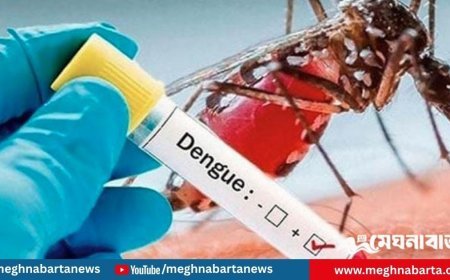 ডেঙ্গুতে ১০ দিনে হাসপাতালে ভর্তি ৬ হাজার, মৃত্যু ২৬ জনের