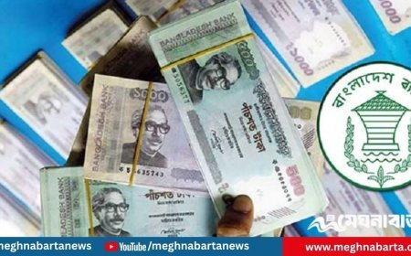 ঋণ সংকটে থমকে গেছে ব্যবসা-বাণিজ্য, ব্যাংকের কড়াকড়িতে দিশেহারা উদ্যোক্তারা