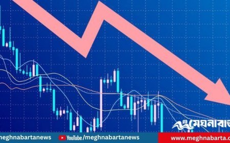 শেয়ারবাজারে আস্থাহীনতার ছায়া, ৯ মাসে উধাও ৬২ হাজার বিনিয়োগকারী