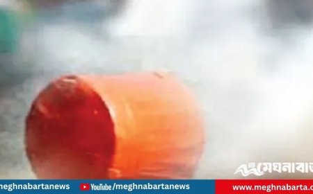 জাতীয় পার্টির সমাবেশে ককটেল বিস্ফোরণ