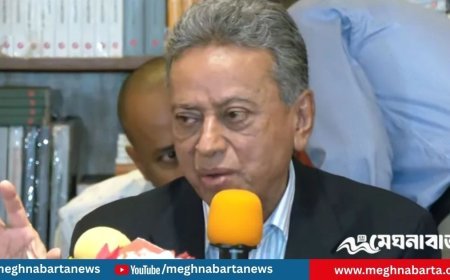 দ্রুত নির্বাচন দিয়ে গণতন্ত্র ফিরিয়ে এনে জনগণের কথা বলতে হবে : আমীর খসরু