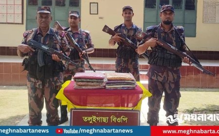 সীমান্তে বিজিবির অভিযানে বিপুল ভারতীয় পণ্য জব্দ