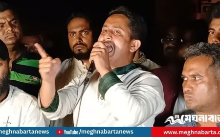 পঞ্চগড়ে এনসিপির কর্মসূচিতে বিদ্যুৎ চলে যাওয়ায়, নেসকোর কর্মকর্তাদের কলিজা ছিঁড়ে ফেলার হুমকি সারজিসের