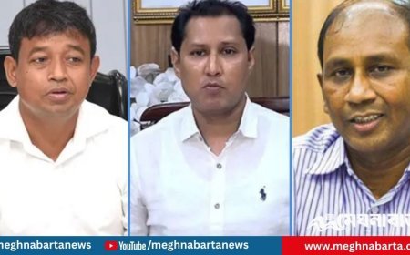 পলাতক অভিযুক্ত ৮৭ পুলিশ কর্মকর্তা, ইন্টারপোল দিচ্ছে না রেড নোটিশে সাড়া