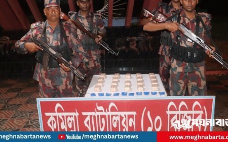কুমিল্লা সীমান্তে কোটি টাকার ইয়াবা চালান জব্দ করল বিজিবি