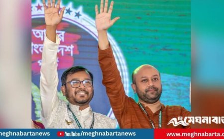 ১০০ আসনে প্রাথমিক মনোনয়ন ঘোষণা করতে যাচ্ছে এবি পার্টি