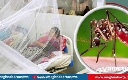 ডেঙ্গুতে আরও ৫ জনের মৃত্যু