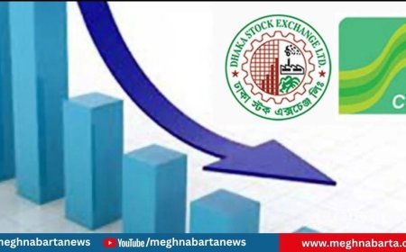 পুঁজিবাজারে সূচকের বড় পতন