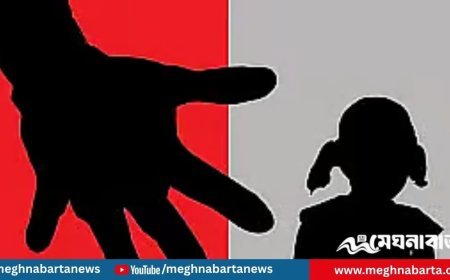 ময়মনসিংহে জলপাই কুড়াতে যাওয়া শিশুকে ধর্ষণের মামলায় একজন গ্রেপ্তার