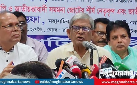 নির্বাচনকে বিলম্বিত করতেই পিআরের দাবিতে আন্দোলনকারীরা নেমেছে: মির্জা ফখরুল