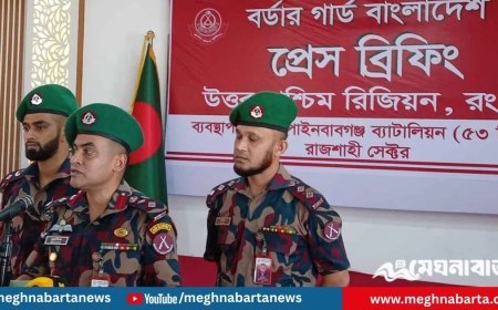 বর্ডারে ৬০ কোটি টাকার অবৈধ পণ্য জব্দ বিজিবির