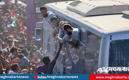 ‘আমরা কারাগারে নয়, ছিলাম কসাইখানায়’