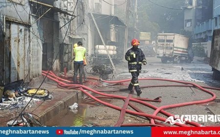 মিরপুরে পোশাক কারখানা ও কেমিক্যাল গুদামে আগুন: নিহত ৯ জন
