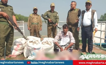 ৪৮ কেজি হরিণের মাংসসহ ১ শিকারি গ্রেপ্তার