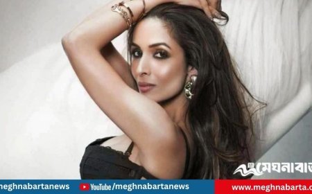 “কেউ বিয়ের প্রস্তাব দিলে আমি রাজি”, খোলামেলা বক্তব্য মালাইকার