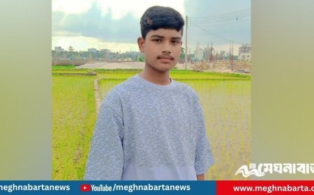 টিকটক বানাতে গিয়ে প্রাণ গেল হৃদয়ের