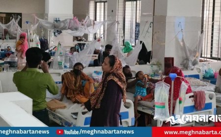 ডেঙ্গুতে আরও ৫ জনের মৃত্যু, হাসপাতালে ভর্তি ৮৪১