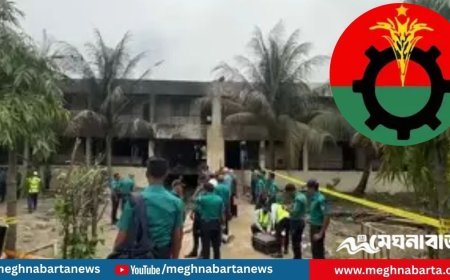 মাইলস্টোনে নিহত পরিবারের পাশে থাকবেন তারেক রহমান : আমিনুল হক